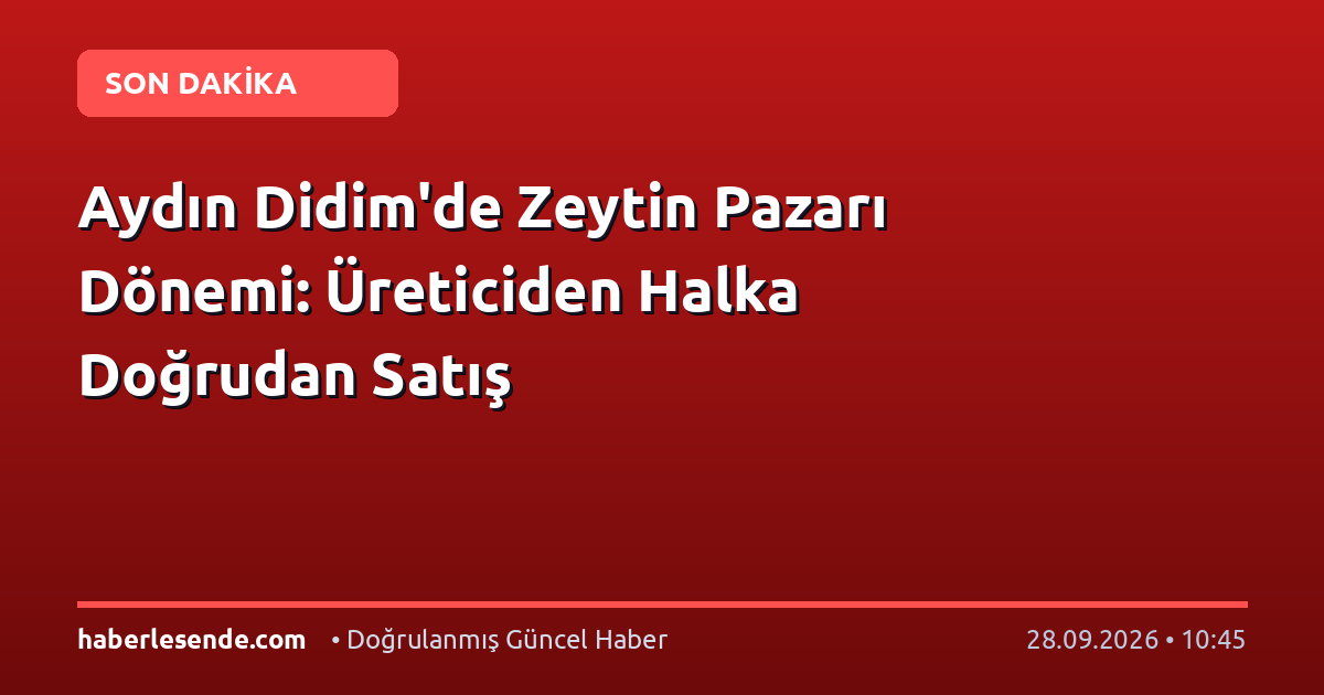 Aydın Didim'de Zeytin Pazarı Dönemi: Üreticiden Halka Doğrudan Satış
