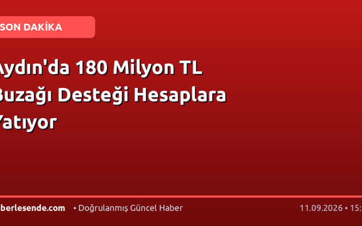 Aydın'da 180 Milyon TL Buzağı Desteği Hesaplara Yatıyor