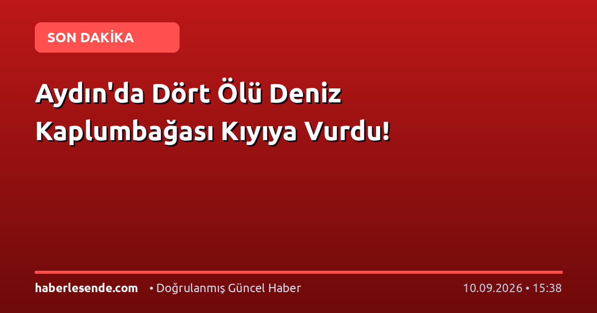 Aydın'da Dört Ölü Deniz Kaplumbağası Kıyıya Vurdu!