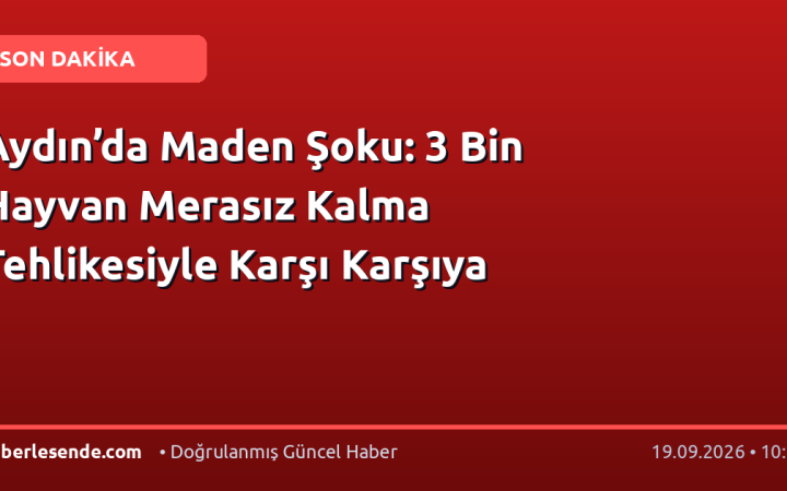 Aydın’da Maden Şoku: 3 Bin Hayvan Merasız Kalma Tehlikesiyle Karşı Karşıya