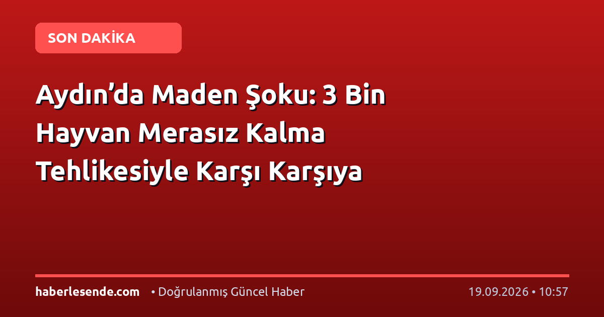 Aydın’da Maden Şoku: 3 Bin Hayvan Merasız Kalma Tehlikesiyle Karşı Karşıya