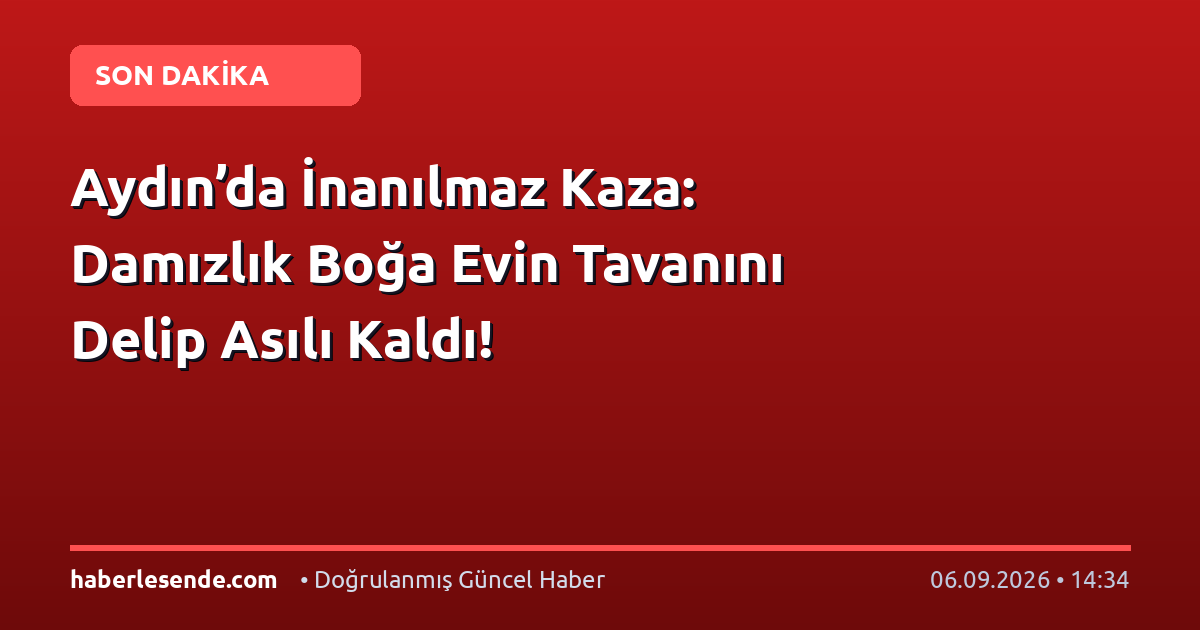 Aydın’da İnanılmaz Kaza: Damızlık Boğa Evin Tavanını Delip Asılı Kaldı!