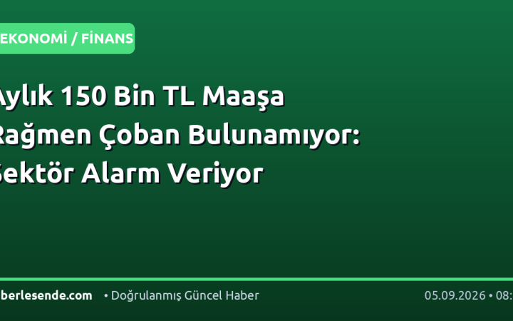 Aylık 150 Bin TL Maaşa Rağmen Çoban Bulunamıyor: Sektör Alarm Veriyor