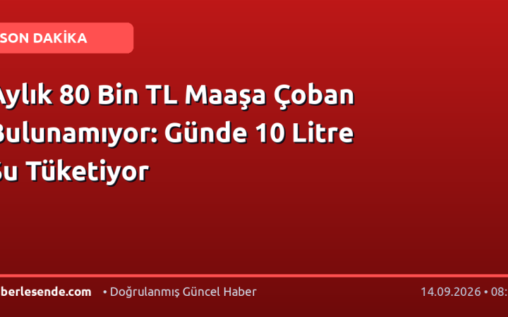 Aylık 80 Bin TL Maaşa Çoban Bulunamıyor: Günde 10 Litre Su Tüketiyor