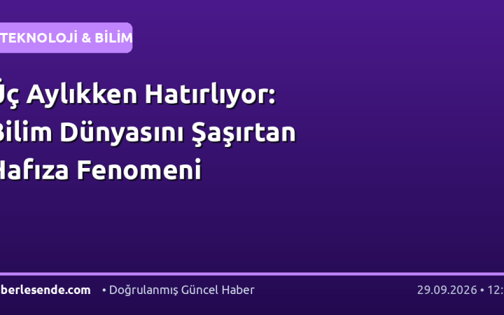 Üç Aylıkken Hatırlıyor: Bilim Dünyasını Şaşırtan Hafıza Fenomeni