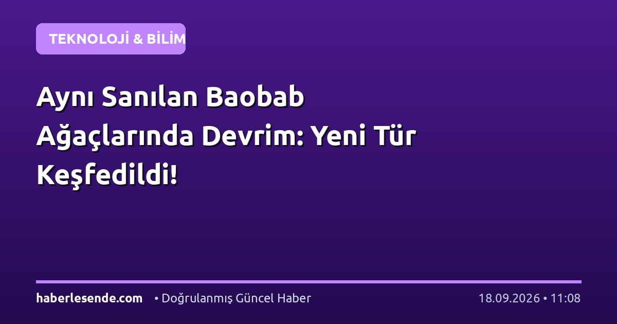 Aynı Sanılan Baobab Ağaçlarında Devrim: Yeni Tür Keşfedildi!
