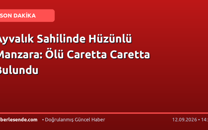 Ayvalık Sahilinde Hüzünlü Manzara: Ölü Caretta Caretta Bulundu