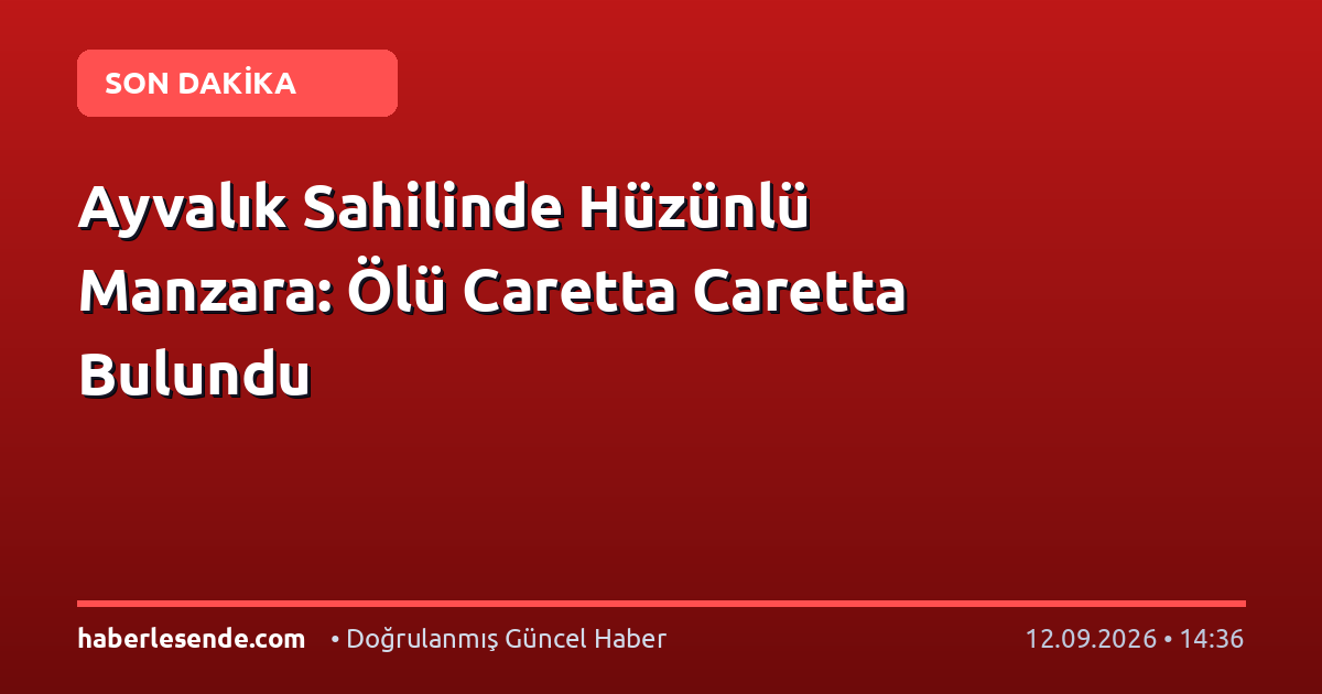 Ayvalık Sahilinde Hüzünlü Manzara: Ölü Caretta Caretta Bulundu
