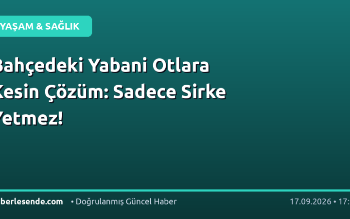Bahçedeki Yabani Otlara Kesin Çözüm: Sadece Sirke Yetmez!