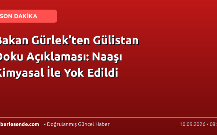 Bakan Gürlek’ten Gülistan Doku Açıklaması: Naaşı Kimyasal İle Yok Edildi