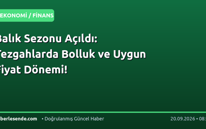 Balık Sezonu Açıldı: Tezgahlarda Bolluk ve Uygun Fiyat Dönemi!