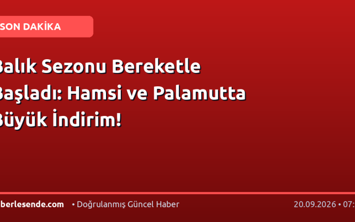 Balık Sezonu Bereketle Başladı: Hamsi ve Palamutta Büyük İndirim!