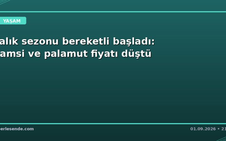 Balık sezonu bereketli başladı: Hamsi ve palamut fiyatı düştü