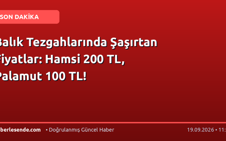 Balık Tezgahlarında Şaşırtan Fiyatlar: Hamsi 200 TL, Palamut 100 TL!