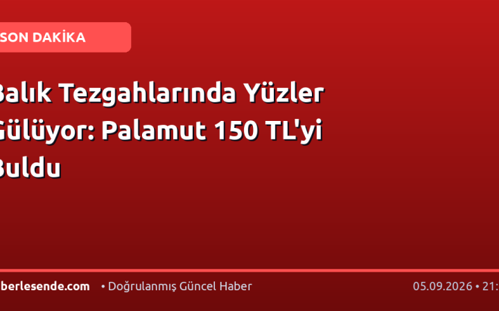 Balık Tezgahlarında Yüzler Gülüyor: Palamut 150 TL'yi Buldu