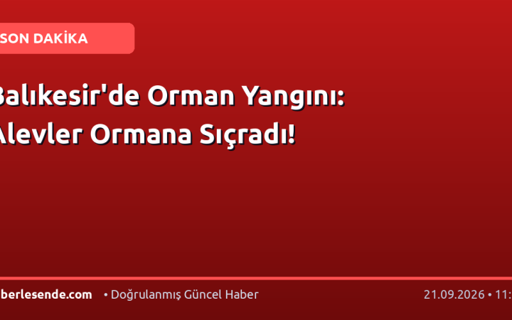 Balıkesir'de Orman Yangını: Alevler Ormana Sıçradı!
