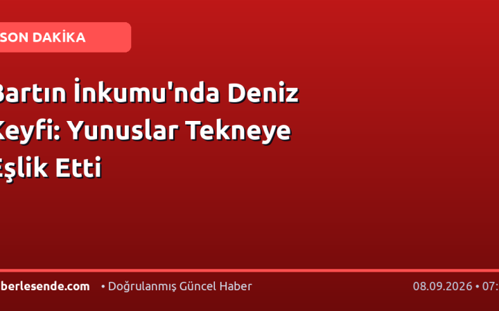 Bartın İnkumu'nda Deniz Keyfi: Yunuslar Tekneye Eşlik Etti