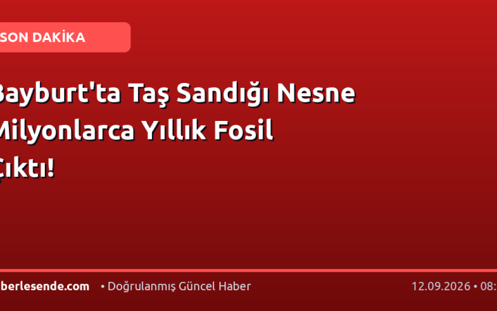 Bayburt'ta Taş Sandığı Nesne Milyonlarca Yıllık Fosil Çıktı!