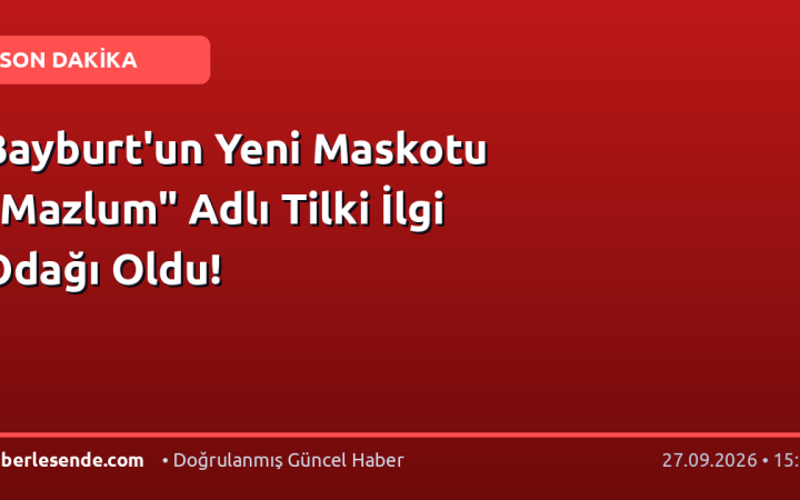 Bayburt'un Yeni Maskotu "Mazlum" Adlı Tilki İlgi Odağı Oldu!