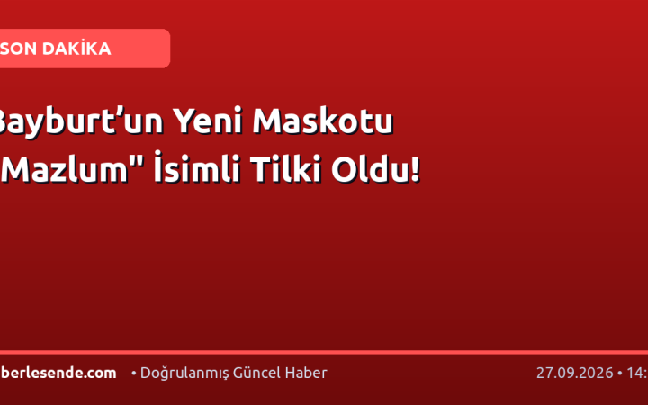 Bayburt’un Yeni Maskotu "Mazlum" İsimli Tilki Oldu!