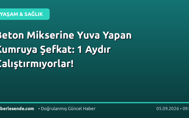 Beton Mikserine Yuva Yapan Kumruya Şefkat: 1 Aydır Çalıştırmıyorlar!