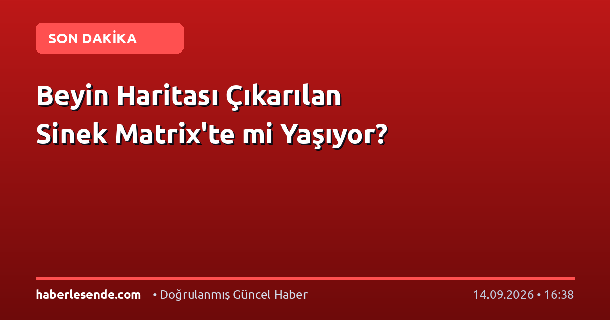 Beyin Haritası Çıkarılan Sinek Matrix'te mi Yaşıyor?