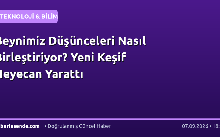 Beynimiz Düşünceleri Nasıl Birleştiriyor? Yeni Keşif Heyecan Yarattı