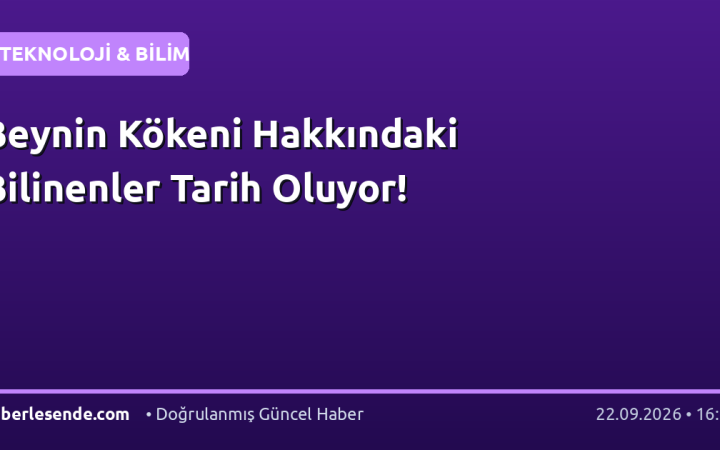 Beynin Kökeni Hakkındaki Bilinenler Tarih Oluyor!