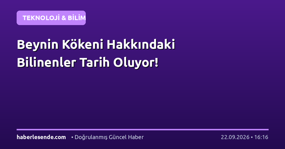 Beynin Kökeni Hakkındaki Bilinenler Tarih Oluyor!