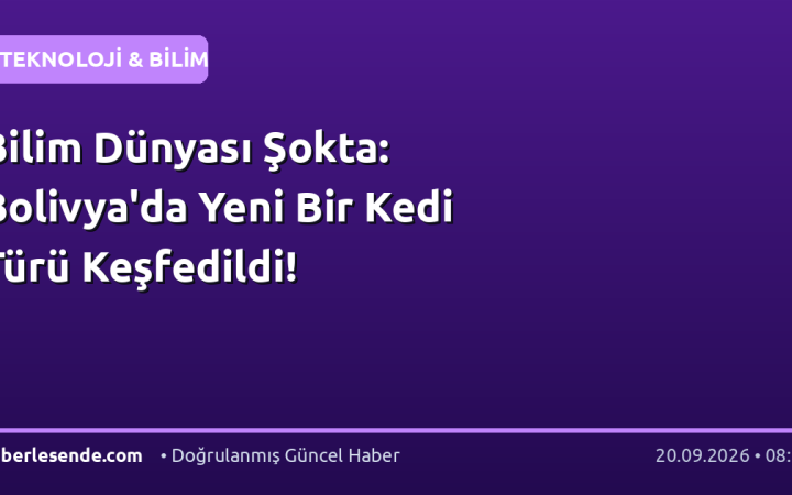 Bilim Dünyası Şokta: Bolivya'da Yeni Bir Kedi Türü Keşfedildi!