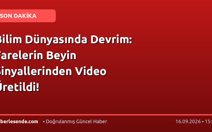 Bilim Dünyasında Devrim: Farelerin Beyin Sinyallerinden Video Üretildi!