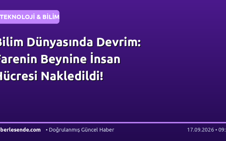 Bilim Dünyasında Devrim: Farenin Beynine İnsan Hücresi Nakledildi!