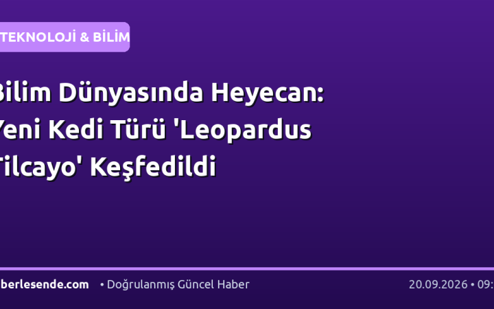 Bilim Dünyasında Heyecan: Yeni Kedi Türü 'Leopardus Tilcayo' Keşfedildi