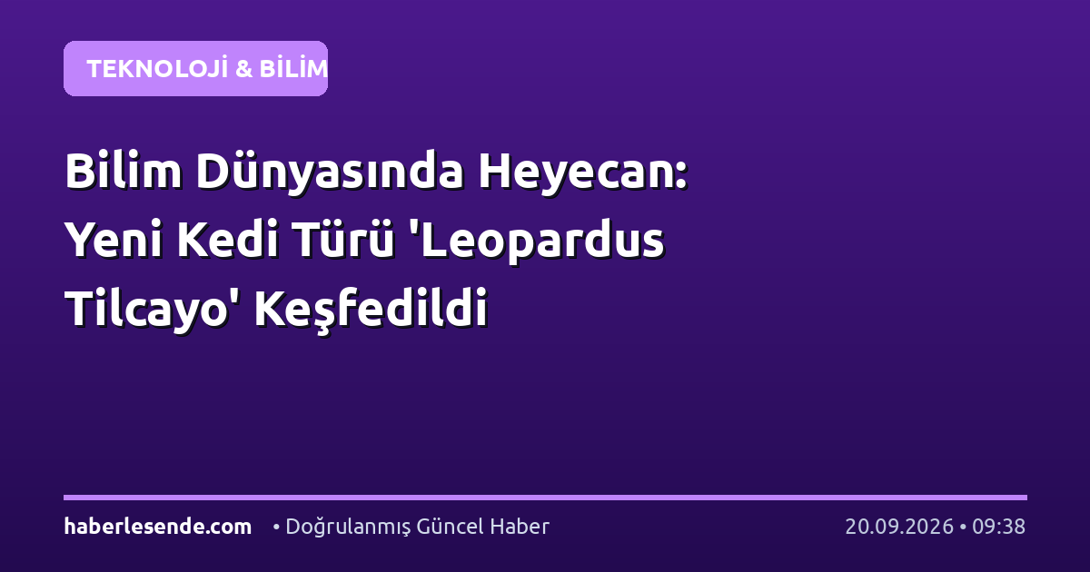 Bilim Dünyasında Heyecan: Yeni Kedi Türü 'Leopardus Tilcayo' Keşfedildi