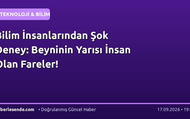 Bilim İnsanlarından Şok Deney: Beyninin Yarısı İnsan Olan Fareler!