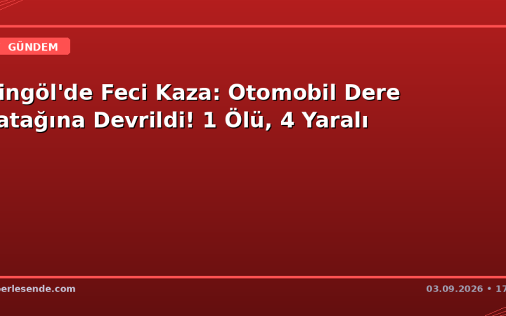 Bingöl'de Feci Kaza: Otomobil Dere Yatağına Devrildi! 1 Ölü, 4 Yaralı