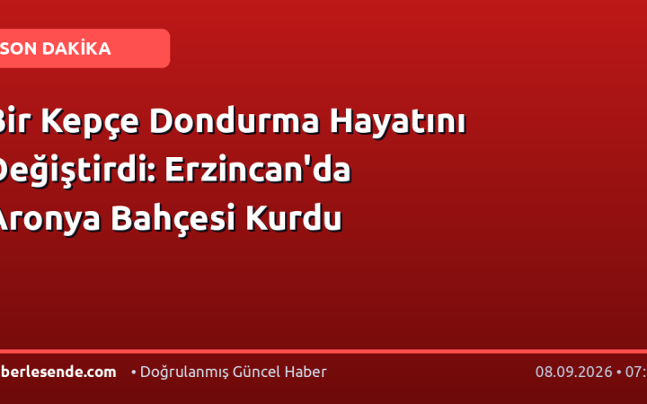 Bir Kepçe Dondurma Hayatını Değiştirdi: Erzincan'da Aronya Bahçesi Kurdu