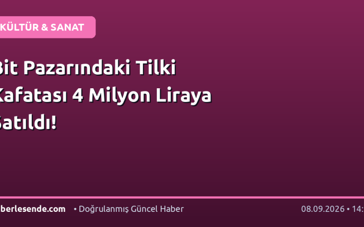 Bit Pazarındaki Tilki Kafatası 4 Milyon Liraya Satıldı!