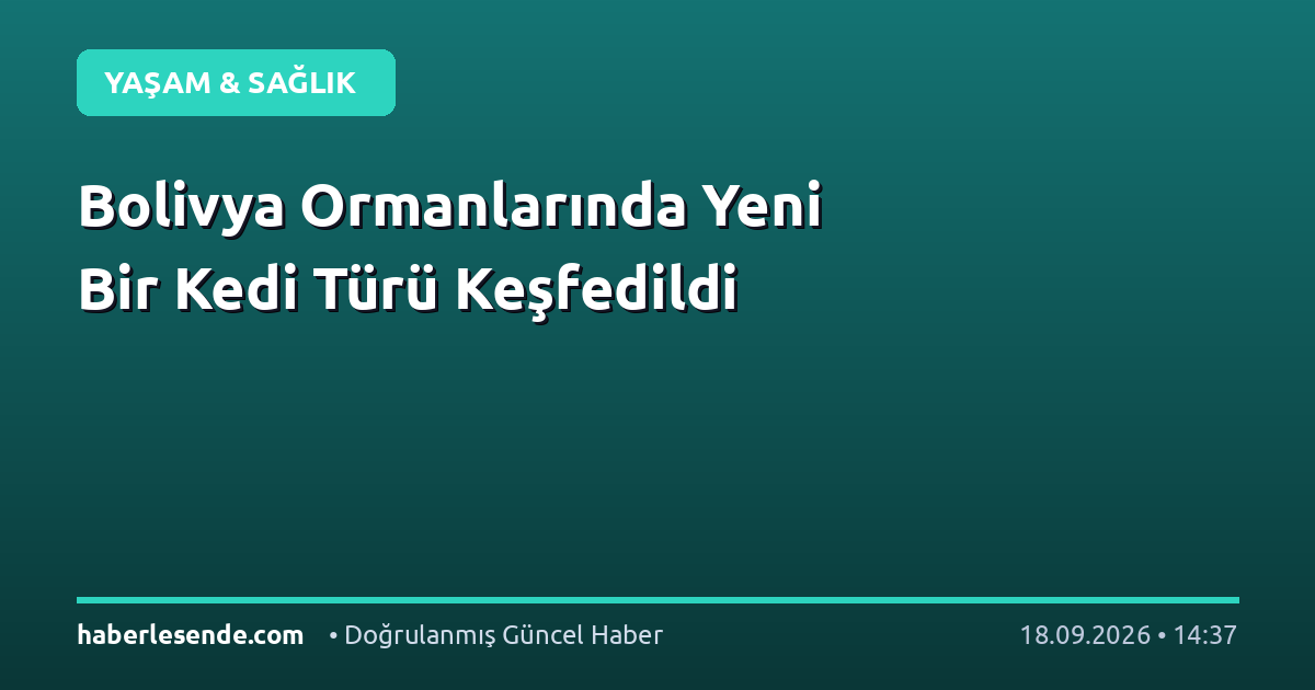 Bolivya Ormanlarında Yeni Bir Kedi Türü Keşfedildi
