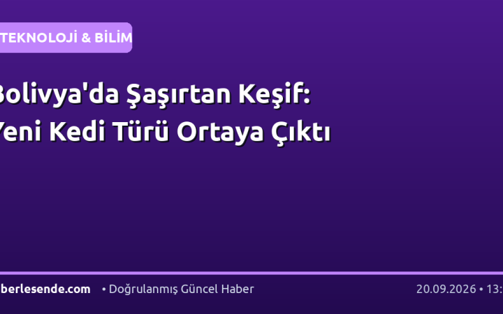 Bolivya'da Şaşırtan Keşif: Yeni Kedi Türü Ortaya Çıktı