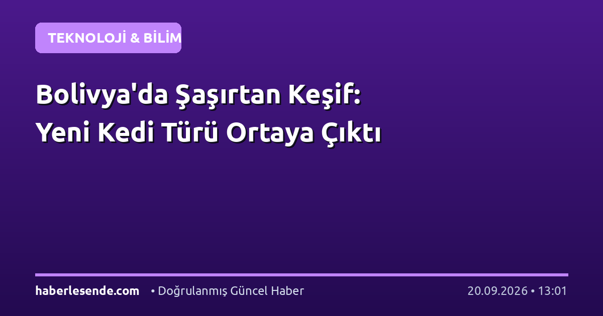 Bolivya'da Şaşırtan Keşif: Yeni Kedi Türü Ortaya Çıktı