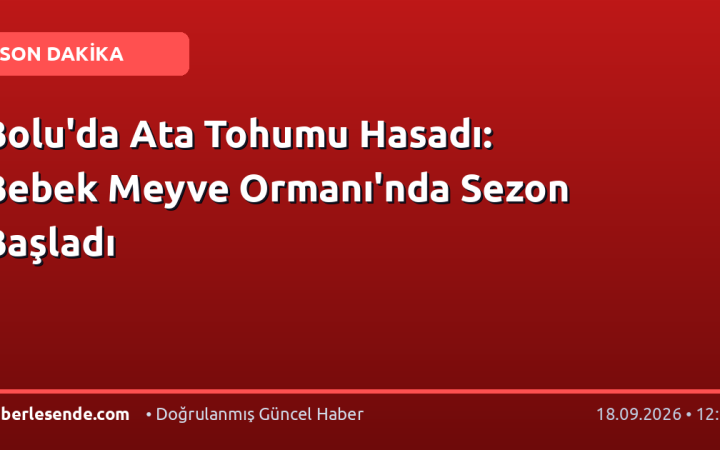 Bolu'da Ata Tohumu Hasadı: Bebek Meyve Ormanı'nda Sezon Başladı
