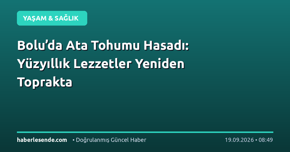 Bolu’da Ata Tohumu Hasadı: Yüzyıllık Lezzetler Yeniden Toprakta