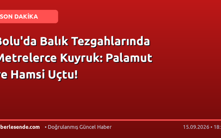 Bolu'da Balık Tezgahlarında Metrelerce Kuyruk: Palamut ve Hamsi Uçtu!
