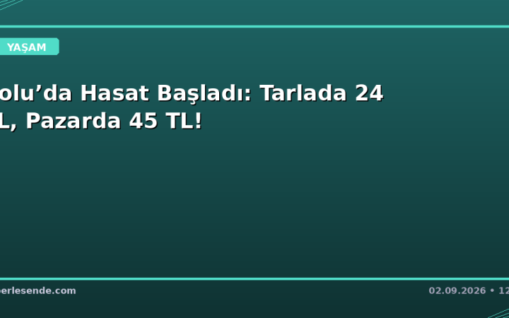 Bolu’da Hasat Başladı: Tarlada 24 TL, Pazarda 45 TL!