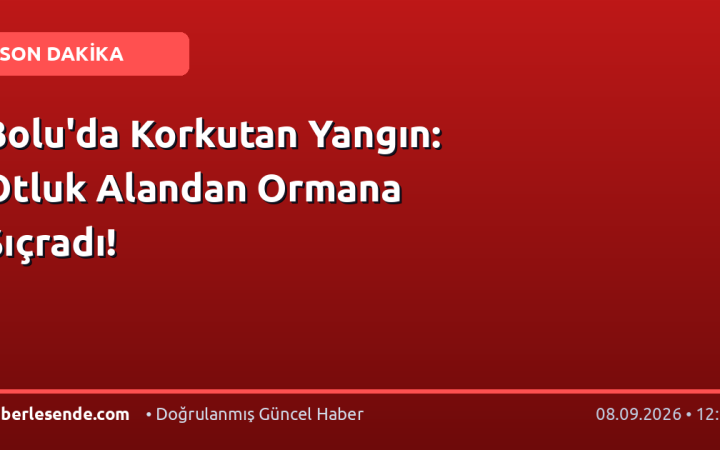 Bolu'da Korkutan Yangın: Otluk Alandan Ormana Sıçradı!