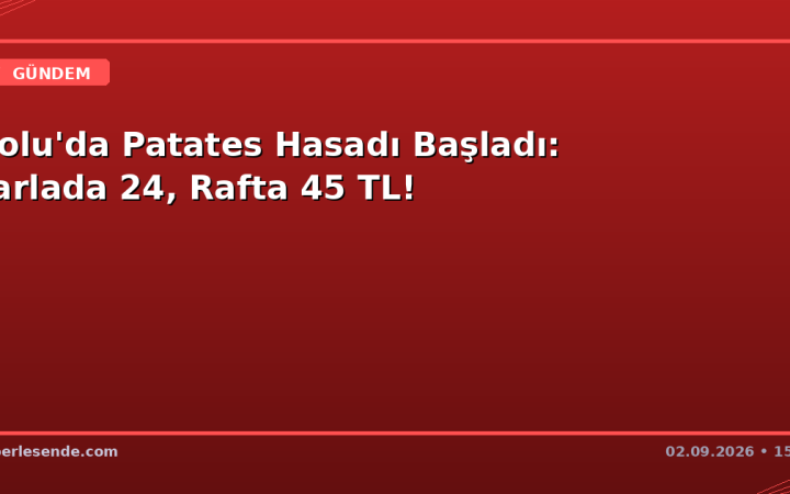 Bolu'da Patates Hasadı Başladı: Tarlada 24, Rafta 45 TL!