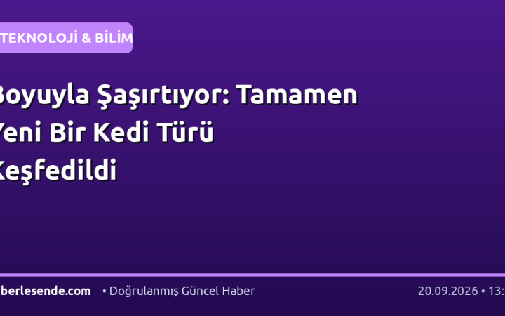 Boyuyla Şaşırtıyor: Tamamen Yeni Bir Kedi Türü Keşfedildi