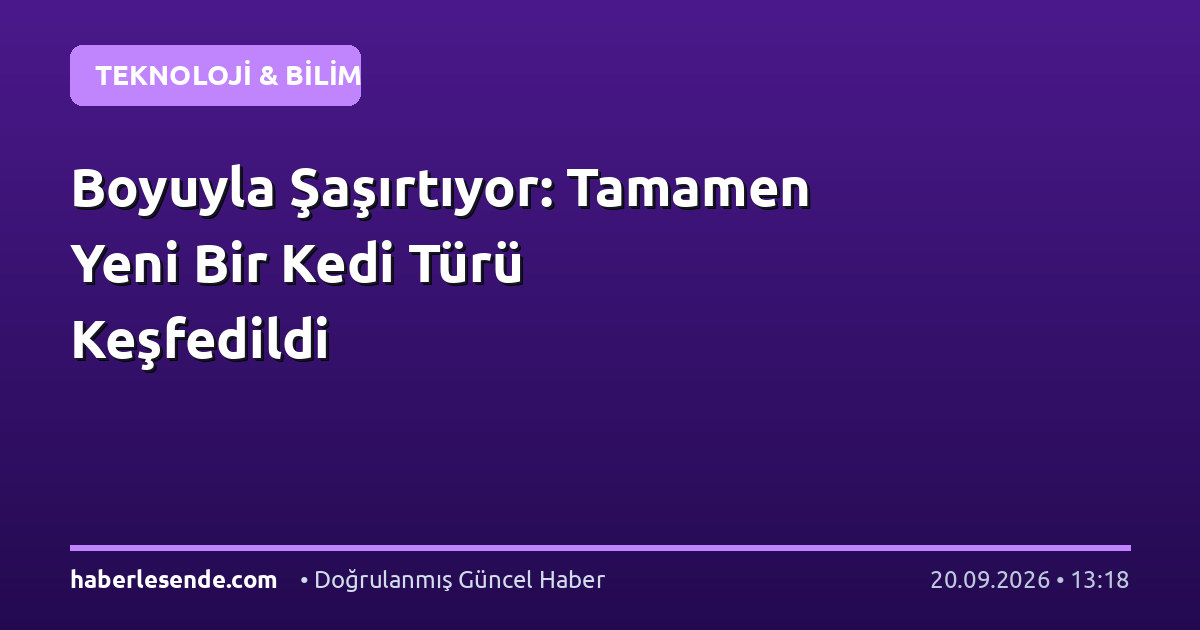 Boyuyla Şaşırtıyor: Tamamen Yeni Bir Kedi Türü Keşfedildi