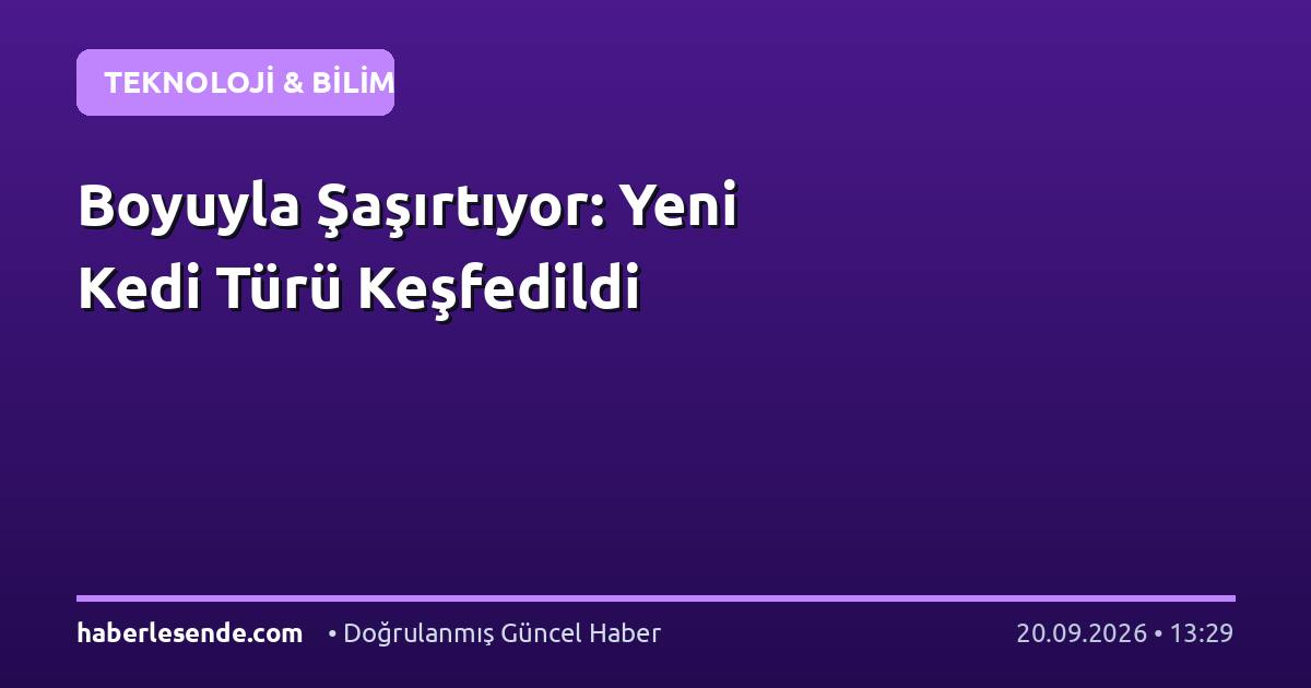 Boyuyla Şaşırtıyor: Yeni Kedi Türü Keşfedildi